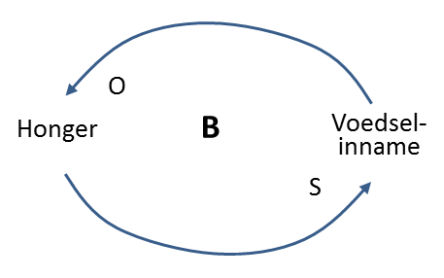 stabiliserende causale lus negatieve feedback systeemdenken jan jutten